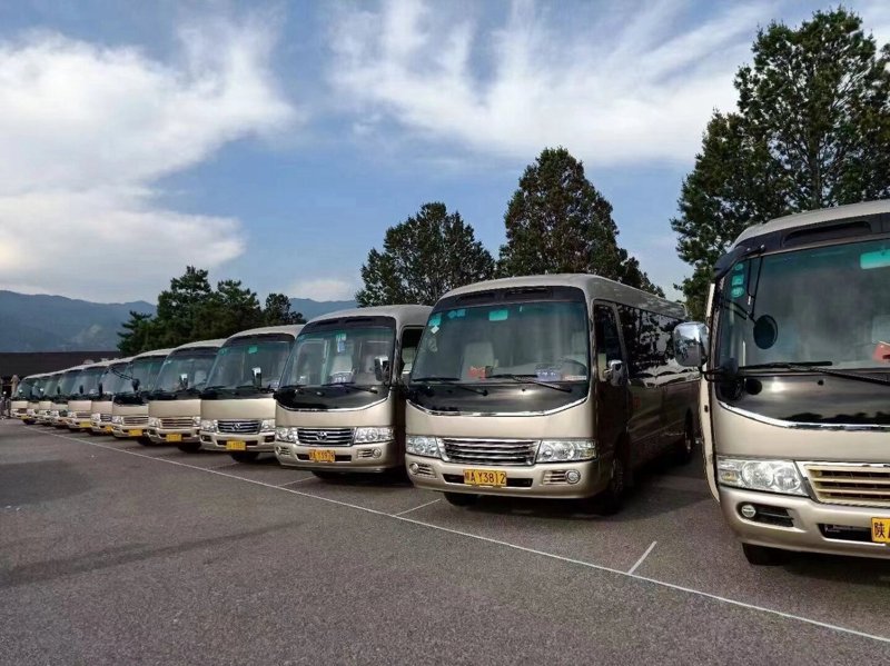 上海旅行社行业发展动态一览